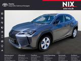 Lexus UX 300e Komfort+Executive Paket LED - Lexus Elektroautos