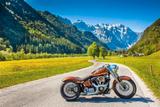 Harley-Davidson Softail custom - HARLEY-DAVIDSON 1995 SOFTAIL