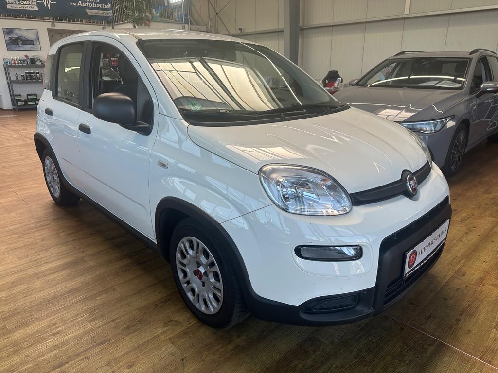 Fiat Panda Base1 HandHybridBenzin 2023