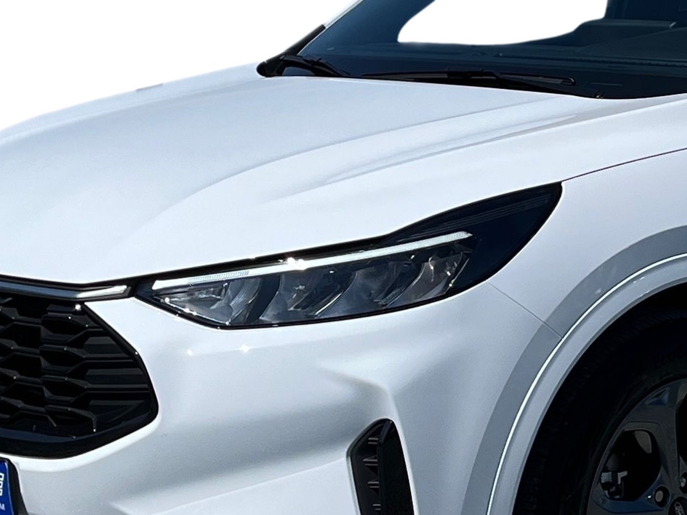 Ford Kuga - Bild 24