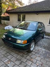 Volkswagen Polo 6N 1996 - Volkswagen Polo: Grün, 6n