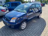 Ford Fusion Style 1,4 - gebrauchte Ford Fusion aus dem Jahr 2010