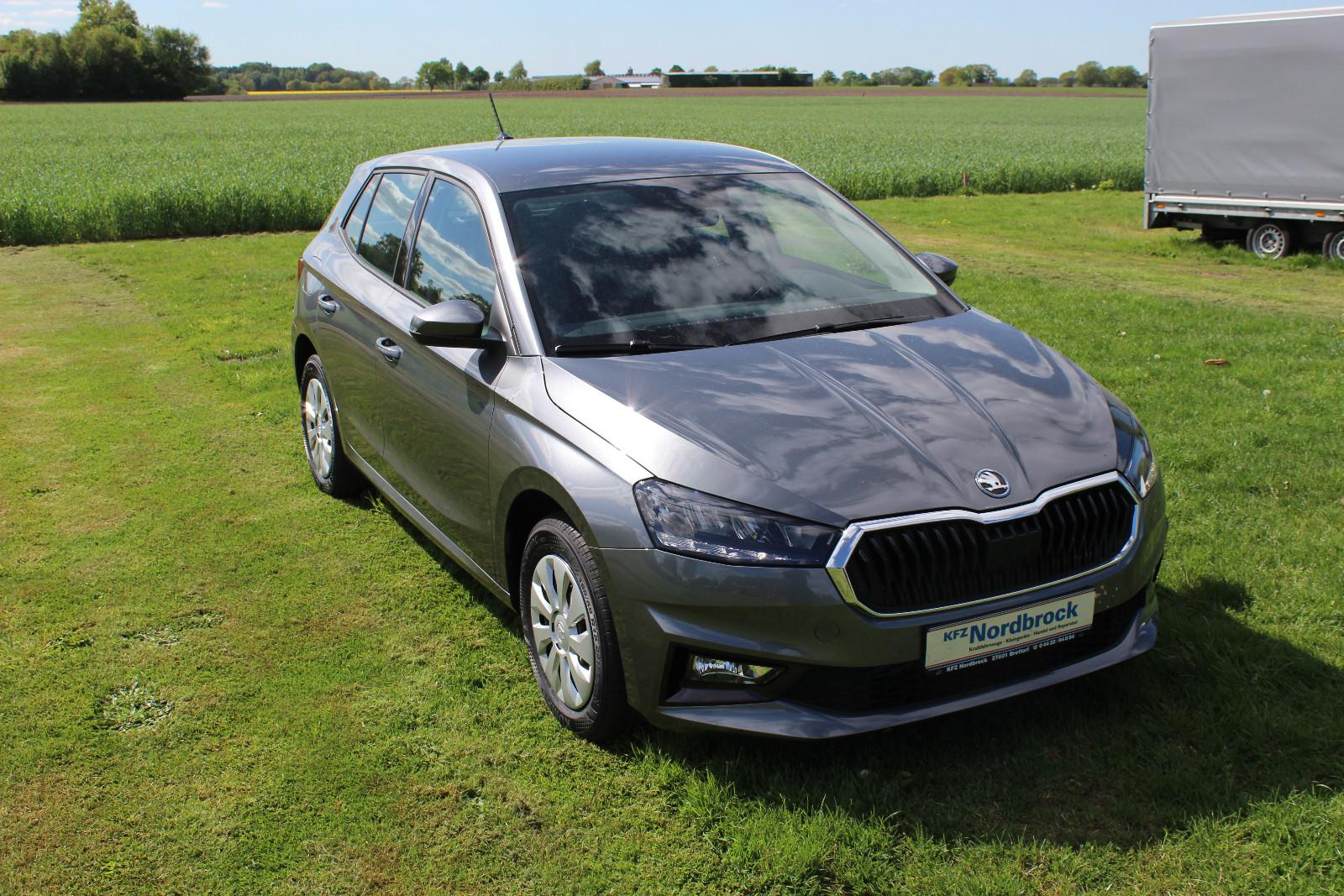 Skoda Fabia Selection *SHZ*LED*Kamera*AppleCarPlay*