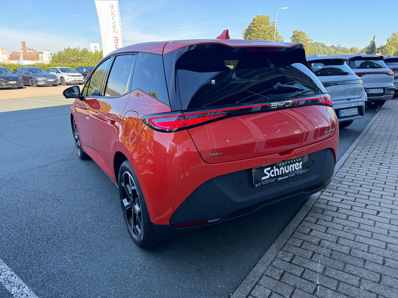 BYD DOLPHIN