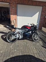 Honda CBR 600 RR - HONDA CBR 600 RR