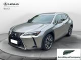 Lexus UX Hybrid Premuium 2WD - graue Lexus UX
