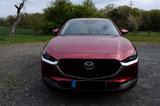 Mazda CX-30 Exclusive-Line Vollausstattung - Mazda CX-30 Gebrauchtwagen in Frankfurt