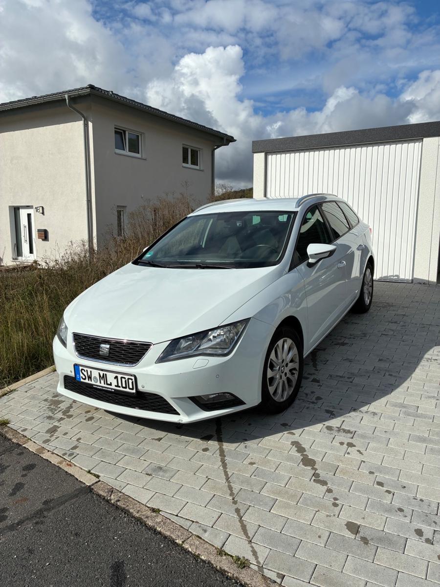 Seat Leon 2014 — вигляд ззаду