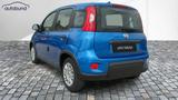 Fiat Panda 1,0  Hybrid (MHEV) Pandina Base NBA PDC SH - Fiat Panda in Hagen