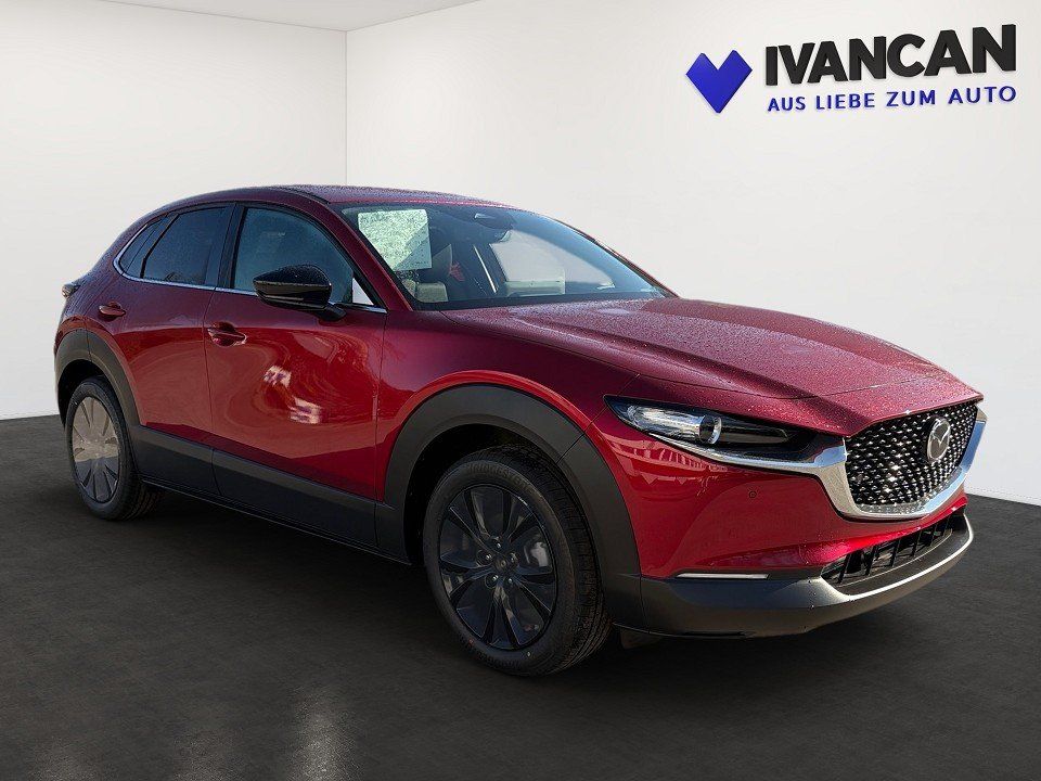 Fahrzeugabbildung Mazda CX-30 X 2.0i 186PS A/T AWD Homura