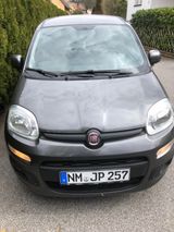Fiat New Panda 1.2 8V EASY EASY - Fiat New Panda von privat