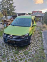 Volkswagen Caddy Maxi Trendline - VW Caddy Maxi von privat
