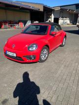Volkswagen Beetle 1.2 TSI BMT Cabriolet - - Volkswagen Beetle: Rot, Cabrio