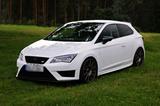 Seat Leon Cupra SC, no OPF + Grail - Seat Leon mit Benzin-Antrieb: Sportwagen, Automatik