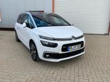 Citroën Grand C4 Picasso / SpaceTourer BlueHDi 160 S... - Citroën: Automatik, Picasso
