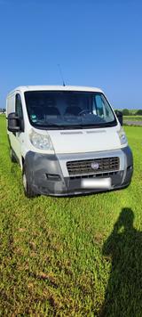 Fiat Ducato Transporter/ Bus/ Kastenwagen - Fiat: Transporter
