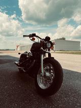 Harley-Davidson Sportster Custom  - SPORTSTER