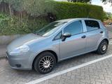 Fiat Punto 1.2 8V POP POP - Fiat Punto Gebrauchtwagen in Hamburg