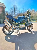 Kawasaki ZX-10 Tomcat Fighter Streetfighter Custombike - Offers matching your search criteria