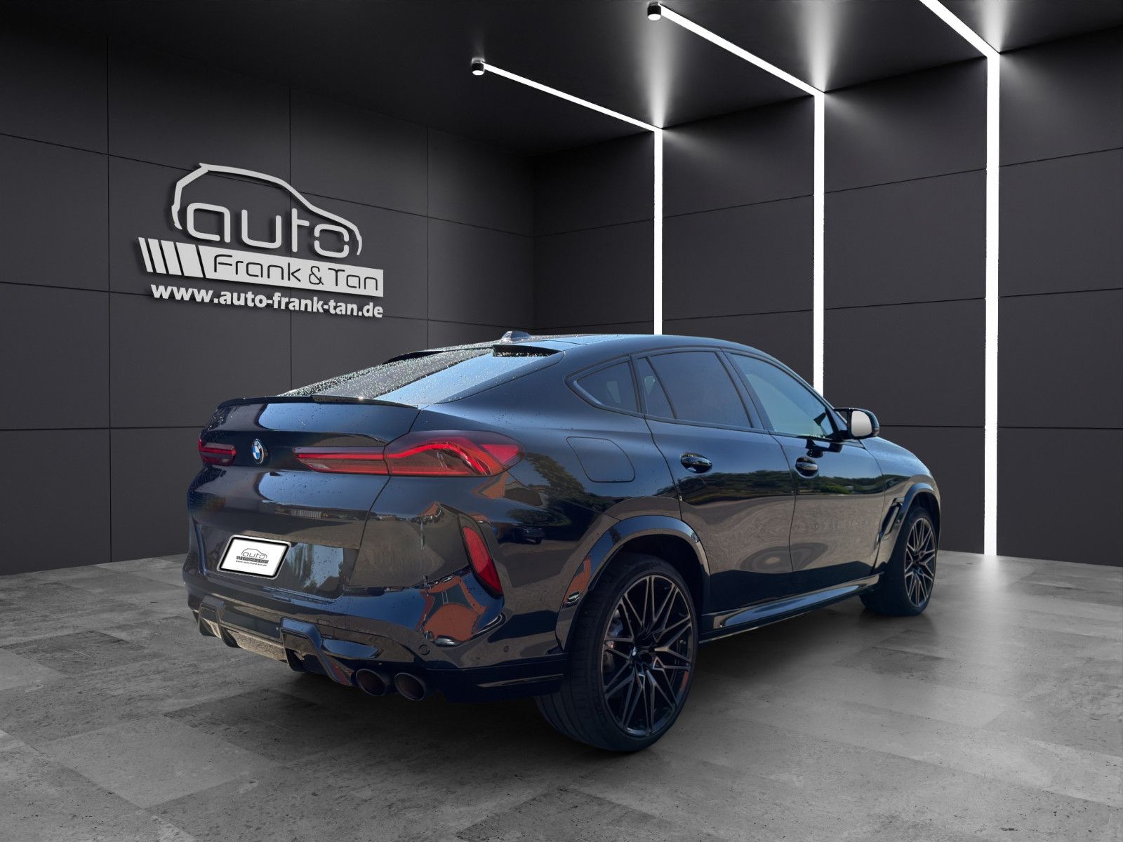 Fahrzeugabbildung BMW X6 M Competition/Massage/Shadow/360°/H&K
