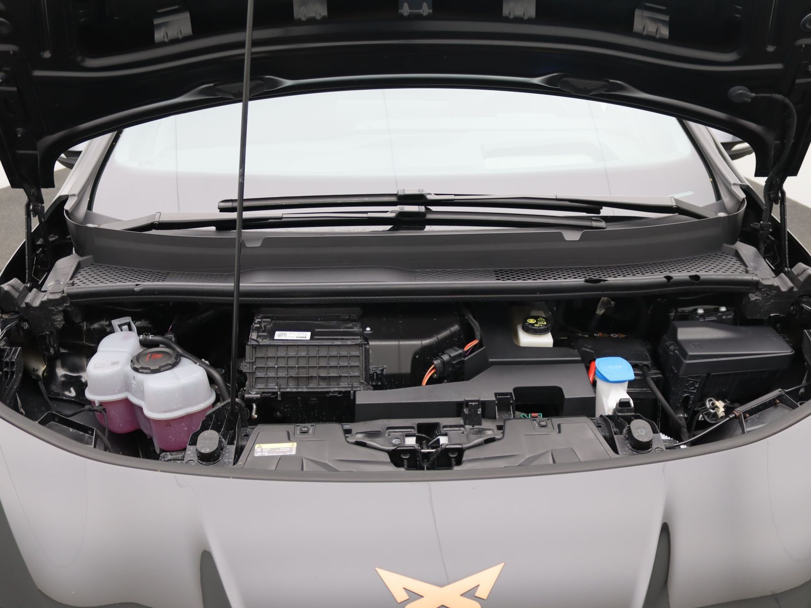 Cupra Born - Bild 19