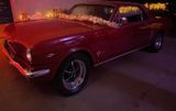 Ford Mustang - Ford Oldtimer mit Benzin-Antrieb