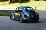 Volkswagen Käfer Jubi  / 50-Jahre Jubiläumsmodell - gebrauchte VW Käfer aus dem Jahr 1985
