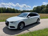 Audi A4 35 TFSI S tronic sport Avant sport - Audi A4 Gebrauchtwagen in München