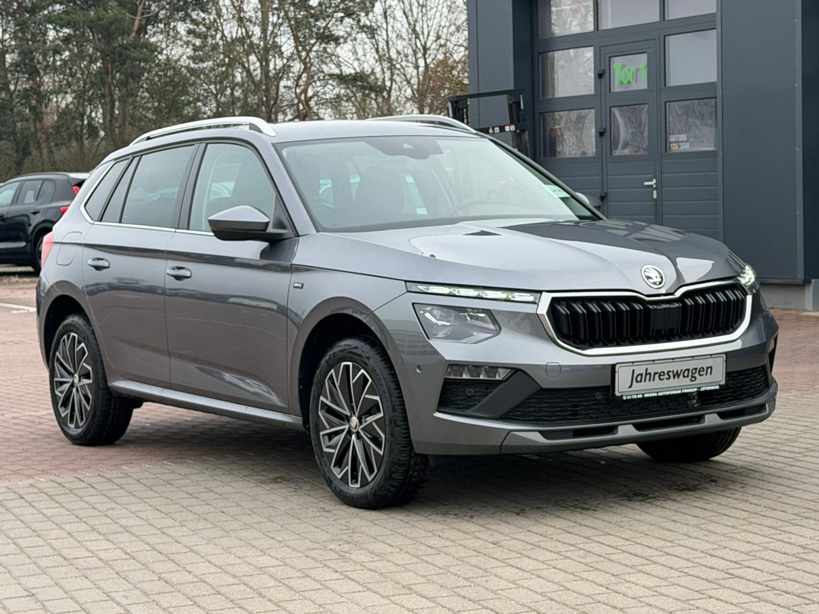Fahrzeugabbildung SKODA Kamiq Selection