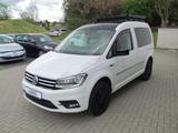 Volkswagen Caddy Kombi 2.0 TDI 4Motion DSG Edition 35 *AHK* - VW Caddy mit Anhängerkupplung