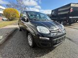 Fiat Panda 1.2 8V Easy KLIMA SERVO ZAHNRIEMEN NEU - Fiat Panda: Schwarz