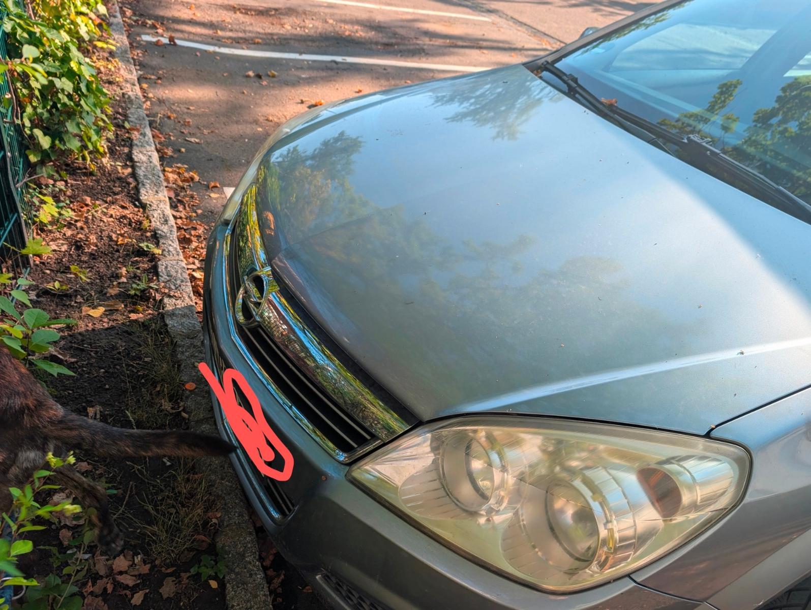 Opel Astra 2006 — photo 10