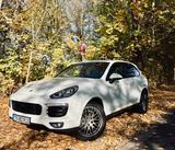 Porsche Cayenne Diesel Platinum Edition BOSE Top Zustand - Porsche Cayenne: Platinum Edition