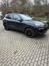 Porsche Cayenne Diesel Platinum Edition Platinum Edition - Porsche Gebrauchtwagen in Troisdorf