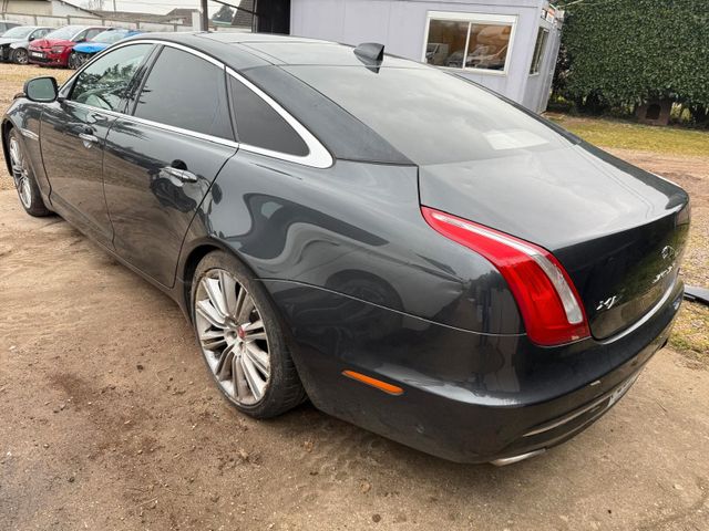 Jaguar XJ Premium Luxury 3.0 V6 Diesel