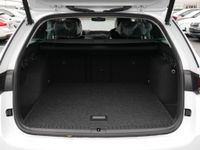 Skoda Octavia - Vorschau Bild 21
