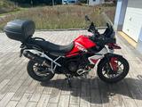 Triumph Tiger 900 GT Aragon Edition - TRIUMPH TIGER 900