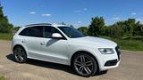 Audi SQ5 3.0 TDI Competition TipTronic Quattro  - Audi SQ5 von privat