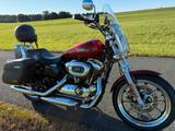 Harley-Davidson Sportster Super Low XL 1200 T - Offers