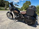 Suzuki LS650 - Offers matching your search criteria