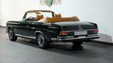 Mercedes-Benz 280 SE Cabrio 6.9-Liter-V8, Spezialumbau - Top! - Mercedes-Benz 280 aus 1970: Se
