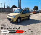 Fiat Panda 1.2 4x4 - Fiat Panda mit Schiebedach