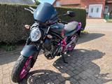 Suzuki Gladius SFV650A  - Angebote