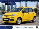 Fiat Panda Icon Klima PDC - Fiat Panda Neuwagen mit Benzin-Antrieb
