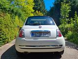 Fiat 500 1.2 8V Cult Cult - Fiat 500: Weiß