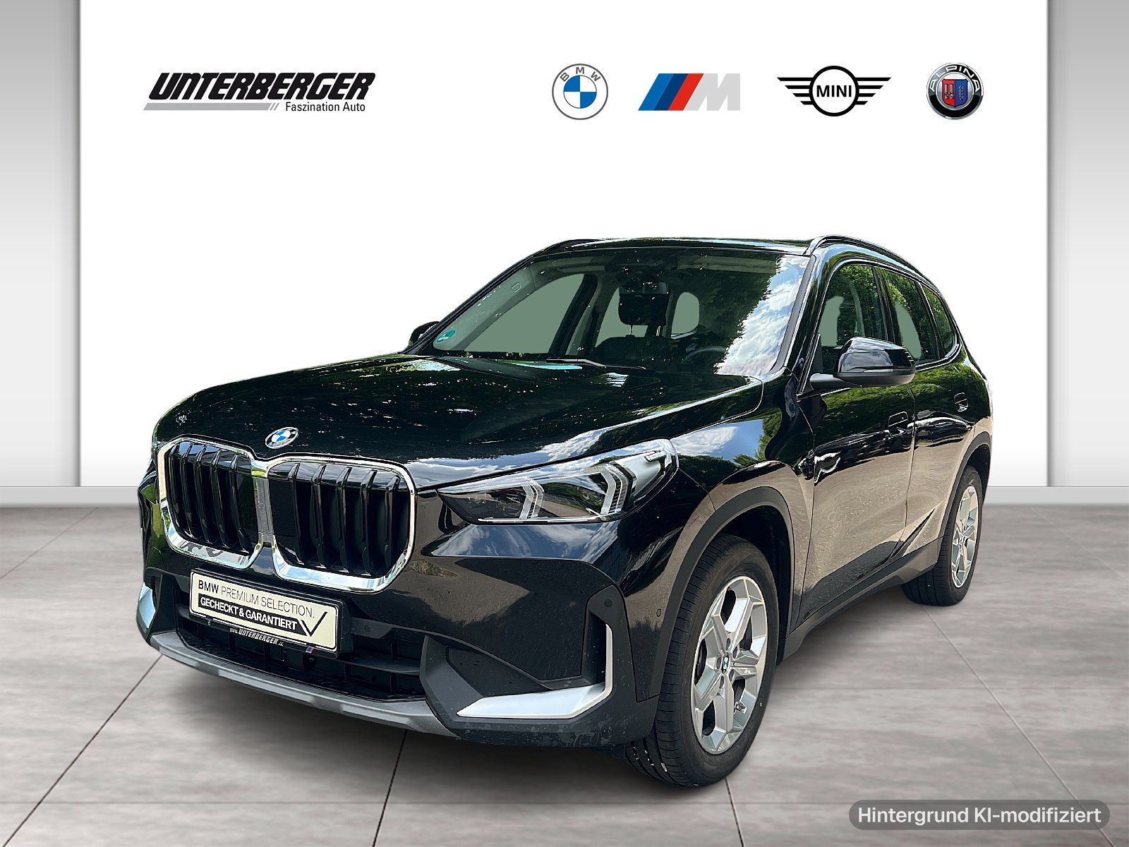 BMW X1 sDrive18i AHK DA PA Lenkradhzg.LED Adap