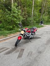 Suzuki SV 650 S - 2001 SV650S