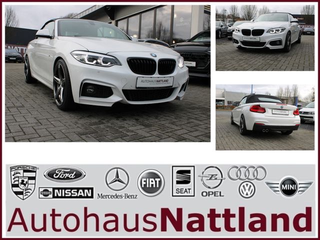 BMW 220i Cabrio M Sport Navi Autom. PDC Temp. H&K