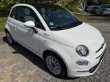 Fiat 500 1.0 GSE N3 Hybrid DOLCEVITA PANORAMA LEDER - Fiat 500 mit Benzin-Antrieb: Weiß, Leder, Kleinwagen