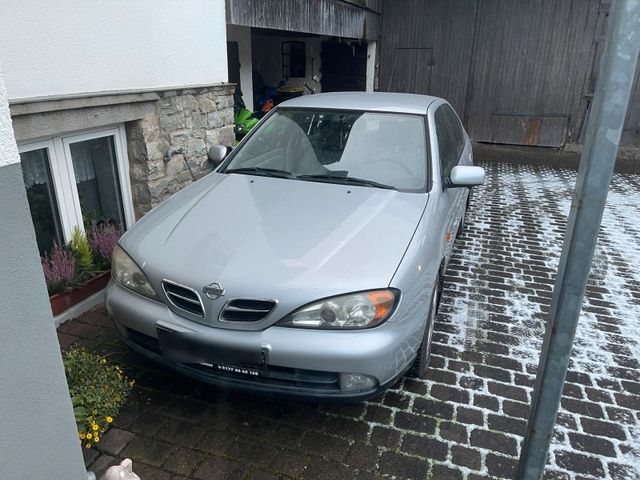 Nissan primera !!!kein Brief!!!!